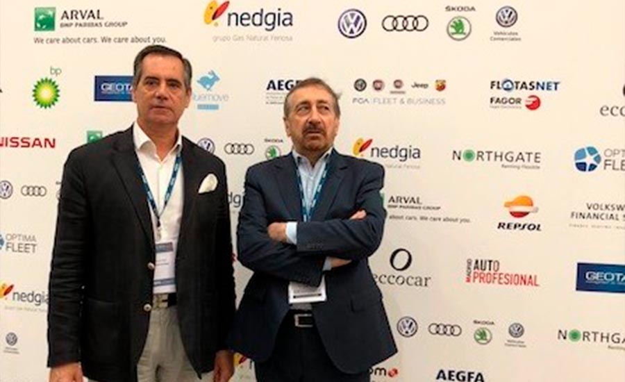 IX Congreso AEGFA
